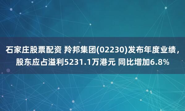石家庄股票配资 羚邦集团(02230)发布年度业绩，股东应占溢利5231.1万港元 同比增加6.8%