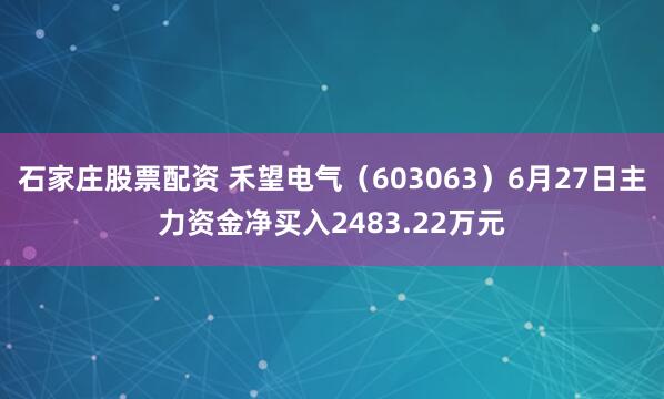 石家庄股票配资 禾望电气（603063）6月27日主力资金净买入2483.22万元